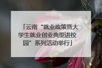 云南“就业政策暨大学生就业创业典型进校园”系列活动举行